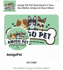 Amigo Pet Pet Shop Banho E Tosa - Seu Melhor Amigo em Boas Mãos! - São Mateus do Sul 