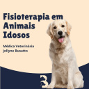 Médica Veterinária Dra Jollyne M. Busatto - Especialista Em Fisioterapia E Reabilitação Veterinária