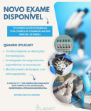Médica Veterinária Dra Jollyne M. Busatto - Especialista Em Fisioterapia E Reabilitação Veterinária