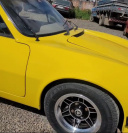 Fio Lataria e Pintura