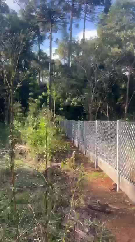 Pré Moldados Nova Aliança 