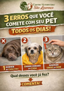 São Lourenço Centro Veterinário 