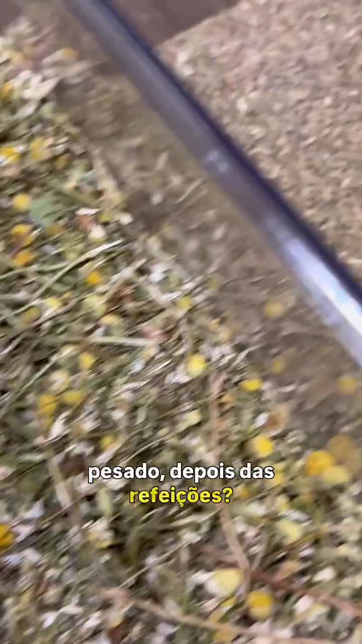 Alegria de Viver Produtos Naturais 