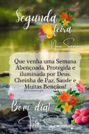 Corretor De Imóveis Lucas Rafael CRECI - SC 62.080F